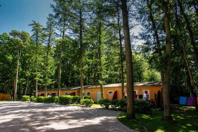 Ferienhaus Seestern im Feienpark Nonnevitz auf Rügen