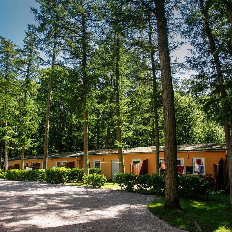 Ferienhaus Seestern im Feienpark Nonnevitz auf Rügen